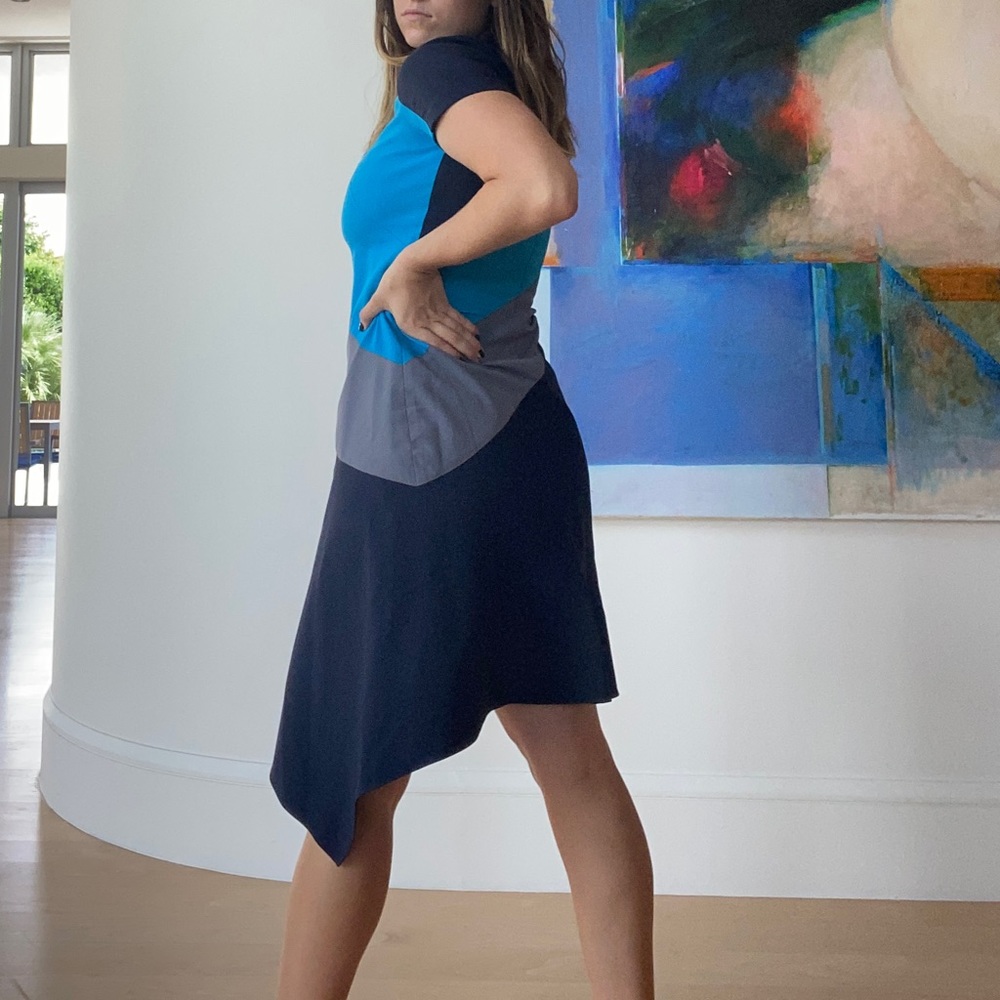 Brand new Raoul Dress !